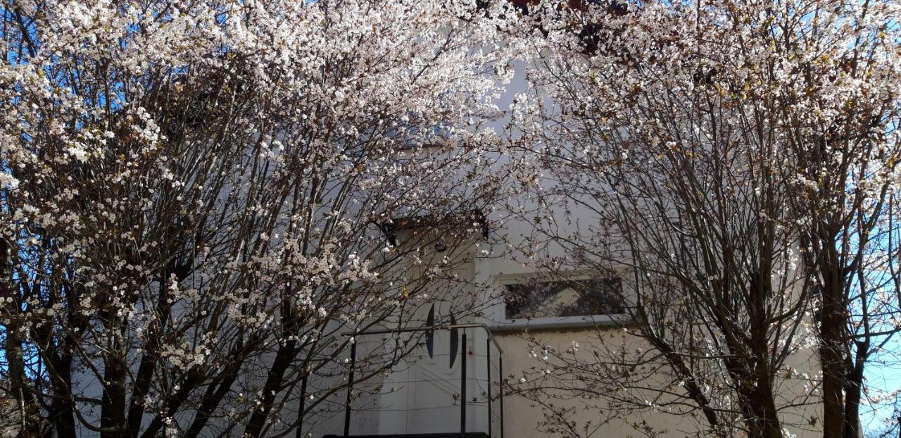 Apple Tree Διαμέρισμα Ζάγκρεμπ Εξωτερικό φωτογραφία