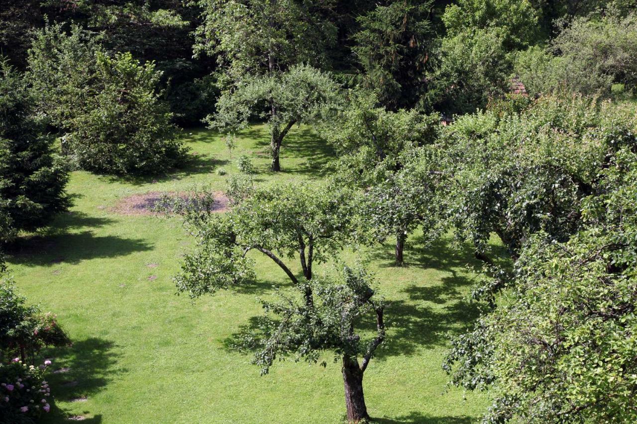 Apple Tree Διαμέρισμα Ζάγκρεμπ Εξωτερικό φωτογραφία